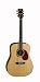 Cort Earth 100DX Dreadnought Acoustic Guitar,  High Gloss Natural