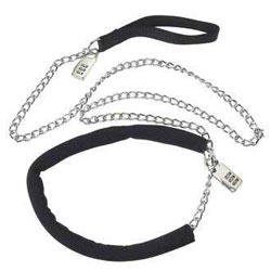 SPOT Loc 'N Leash Dog Collar
