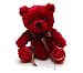 �y�T���N�X�u�[�P�z���b�h�e�f�B�y�e�f�B�x�A�z