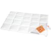 Maxi und Moritz 975.98.012 - Kinderbettchen Daunendecke 8 x 5 Karos, 100 x 135 cm
