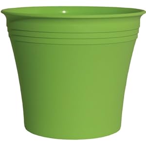 Rush Creek Designs PIM2021018314 Aspen Planter Lime