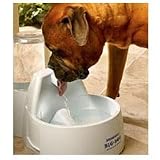Kitchen & Housewares : Drinkwell Water Fountain for Dogs "Big Dog Fountain"