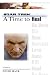 A Time to Heal (Star Trek: The Next Generation) 