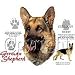 German Shepherd Adult T-Shirt