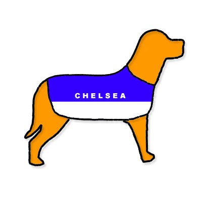 Chelsea Personalised Waterproof Dog Coat Size L (22" 55cm)