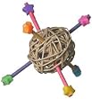 Super Bird Creations Outta This World 2.0 with Munch Ball