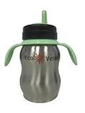 Eco Vessel Kids Stainless Steel Sippy Bottle / Cup with Handle (Silver Express - 12 Ounces)