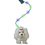 Fluffy Go Walkies