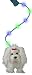 Toys : Fluffy Go Walkies