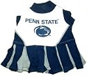 NCAA Penn State University Cheerleader Pet Outfit, Small
