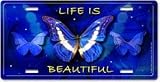 Monarch Butterfly License Plate