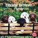 labrador9  - Labrador Retriever Puppies 2010 Wall Calendar