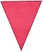 RWG Indoor/Outdoor Pennant Banner Party Accessory (1 count) (1/Pkg)
