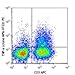 506305 - Size : 25 micrograms - Anti-TNF-a Rat Monoclonal Antibody (PE (Phycoerythrin)) [Clone: MP6-XT22] - Each (25micrograms)