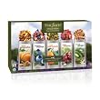 Tea Forte Single Steeps Herbal Tea - 15 Pack