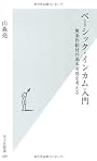 ベーシック・インカム入門 (光文社新書)