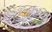 Kitchen & Housewares : 14" Diameter Fleur De Lis Glass Serving Sectional Platter