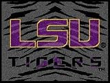 Louisiana State (LSU) Tigers 18 x 24 Small Entry Mat