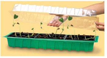 Educational Insights GeoSafari Sprout and Grow Greenhouse