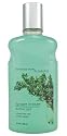 Bath & Body Works Juniper Breeze Pleasures Collection Bubble Bath 10 oz