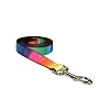 Large Rainbow Dog Leash: 1" wide, 6ft length.