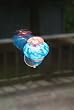 Aqua Blue Glow in the Dark Glass Window Mounted Hummingbird Feeder with How to Attract Hummingbirds Booklet