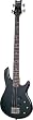 Schecter Raiden DLX-4 Bass - Black