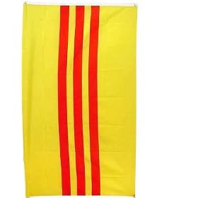 New 3x5 South Vietnam Flag Historical Vietnamese Flags