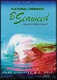 B. Seaweed