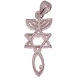 Messianic Seal (Thick) - Style XIX - Sterling Silver Pendant (2.6 cm or 1" w/o loop - Small) - Comes with Silver box chain