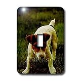 Dogs Jack Russell Terrier - Jack Russell Terrier - Light Switch Covers - single toggle switch