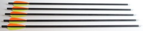 Perfect Holiday Season Present FIVE 20 Inch Fiberglass Arrows Great For Target Practice on Every Hunters Chistmas List