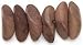 Beyond Beautiful Natural Wood Beads-8x21mm Angle Cut 36/Pkg