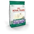 Royal Canin Mini Toy Indoor Adult 25 Dry Dog Food (2-lb bag)