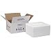 Polar Tech 225C Thermo Chill Insulated Carton with Foam Shipper, Medium, 12" Length x 10" Width x 5" Depth (Case of 4)