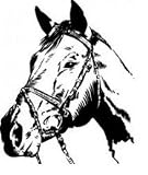 Horse - wall decal - selected color: Dark Brown - Want different color ? Choose from 24 colors in