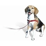SENSE-ible No-Pull Dog Harness - Red Medium/Large (Wide)
