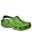 Parrot Green
