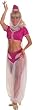 I Dream of Jeannie Costume (Trademark Costume) - Bottle Sold Separate