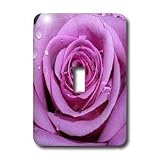 Flowers - Purple Rose - Light Switch Covers - single toggle switch