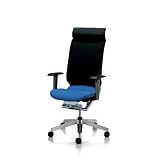 kokuyo AGATA/A(�A�K�^�G�[)�`�F�A�[ �w�b�h���X�g�t���^�C�v ���I�t ���f���[�g�u���[(�w�N�b�V�����t���E�V���o�[�t���[��) W670�~D600�~H1165-1275mm