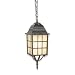 Royce Lighting RLC3342ES-23 Outdoor Convertible Lantern Oil Rubbed Bronze with Cream Snow Globe