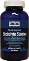 Trace Minerals Research Performance Electrolyte Stamina, High Performance Energy Formula of Balanced Ionic Minerals , 300 Tablets