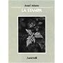 La stampa di Ansel Adams