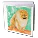 pomeranian38 - Dogs Pomeranian Pomeranian Greeting Cards12 Greeting Cards with