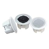 Pair 5.25 Enclosed Ceiling Sp