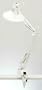 Adjustable Combination Lamp with Outlet - White Finish