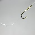 10 FTD Barbless HAIR RIGS Fishing Hooks to Nylon SINGLE SIZES 6, 8, 10 & 12 available Carp Bream Tench Barbel