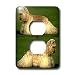 Dogs Cocker Spaniel - Cocker Spaniel - Light Switch Covers - 2 plug outlet cover