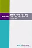 Social fund reform : debt, credit and low-income households